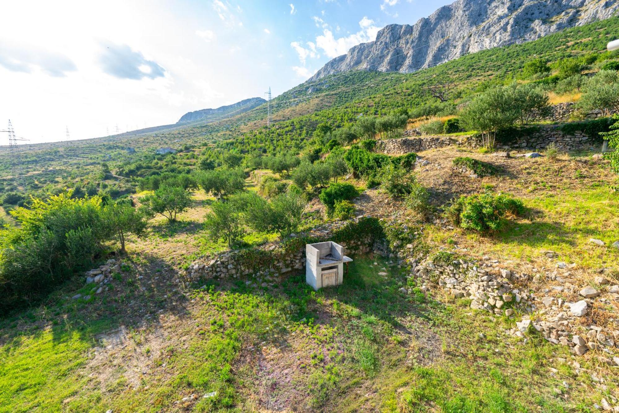 Olive Garden House In Zrnovnica With A View & Bbq Villa Eksteriør bilde